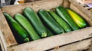 Les courgettes Les courgettes