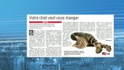 Les chats seraient tout à fait capables de le dévorer une fois mort Les chats seraient tout à fait capables de le dévorer une fois mort