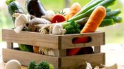 Pour bien aborder l'automne, donnez vous un coup de jus Pour bien aborder l'automne, donnez vous un coup de jus