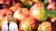 La fête aux pommes à l’Aquascope de Virelles : on craque, on croque La fête aux pommes à l’Aquascope de Virelles : on craque, on croque