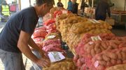 Florenville : la pomme de terre y est fêtée depuis 25 ans... Florenville : la pomme de terre y est fêtée depuis 25 ans...
