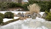 Quatre conseils pour soigner son jardin en hiver Quatre conseils pour soigner son jardin en hiver