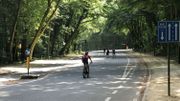 Dans le Bois de la Cambre, les joggeurs, cyclistes et autres promeneurs profitent pour l'instant de tout l'espace de la route qui est mis à leur entière disposition Dans le Bois de la Cambre, les joggeurs, cyclistes et autres promeneurs profitent pour l'instant de tout l'espace de la route qui est mis à leur entière disposition