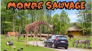 Concours Les Ambassadeurs : 4 X 2 entrées au Monde Sauvage à gagner ! Concours Les Ambassadeurs : 4 X 2 entrées au Monde Sauvage à gagner !