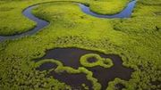 Les mangroves du delta du Saloum au Sénégal Les mangroves du delta du Saloum au Sénégal