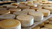 Des fromages jetés hier ne le seraient plus aujourd'hui selon les nouvelles normes Des fromages jetés hier ne le seraient plus aujourd'hui selon les nouvelles normes