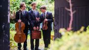 Le Trio Busch interprète l'intégrale de la musique de chambre de Dvorak Le Trio Busch interprète l'intégrale de la musique de chambre de Dvorak