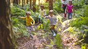Sorties scolaires, excursions, classes vertes : Annulations en cascades et saison catastrophique Sorties scolaires, excursions, classes vertes : Annulations en cascades et saison catastrophique