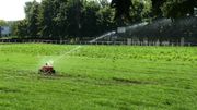 L'arrosage fonctionne en quasi permanence. De loin, le terrain semble vert mais de près, il en va tout autrement L'arrosage fonctionne en quasi permanence. De loin, le terrain semble vert mais de près, il en va tout autrement