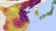 Respirer l'air de Bruxelles, c'est comme fumer 2,5 cigarettes/jour, dit cette appli Respirer l'air de Bruxelles, c'est comme fumer 2,5 cigarettes/jour, dit cette appli
