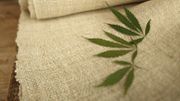 Le chanvre, la fibre textile dont la mode ne pourra bientôt plus se passer Le chanvre, la fibre textile dont la mode ne pourra bientôt plus se passer