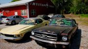 Partez sur la Route du Blues 2016 Partez sur la Route du Blues 2016