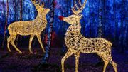 Le plus belge des marchés de Noël allemands ! Le plus belge des marchés de Noël allemands !