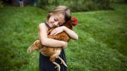 La poule, votre première alliée anti-déchet ! La poule, votre première alliée anti-déchet !