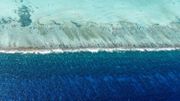 Le Belize abrite la 2e plus grande barrière de corail au monde après l’Australie. Le Belize abrite la 2e plus grande barrière de corail au monde après l’Australie.