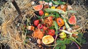 compost compost