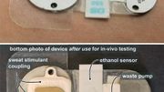 L'appareil stimule la transpiration à la demande en utilisant une technique appelée iontophorèse et la transfère à un capteur d'éthanol. L'appareil stimule la transpiration à la demande en utilisant une technique appelée iontophorèse et la transfère à un capteur d'éthanol.