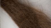 Une mèche de cheveux de John Lennon vendue sous le marteau pour 35.000 dollars