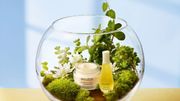 TERMINÉ : Concours : deux produits Decléor aux huiles essentielles TERMINÉ : Concours : deux produits Decléor aux huiles essentielles