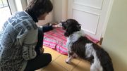 Une Bruxelloise retrouve son chien 6 ans après l’avoir perdu Une Bruxelloise retrouve son chien 6 ans après l’avoir perdu