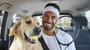 On peut désormais prendre son animal de compagnie en Uber Pet On peut désormais prendre son animal de compagnie en Uber Pet
