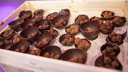 Nouveau défi fil rouge : la fabrication de truffes en chocolat. Nous avons besoin de vous Nouveau défi fil rouge : la fabrication de truffes en chocolat. Nous avons besoin de vous
