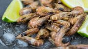 Cela a été le cas des crevettes décortiquées, introuvables en rayons Cela a été le cas des crevettes décortiquées, introuvables en rayons