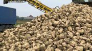 La campagne de récolte bat son plein malgré des conditions climatiques difficiles La campagne de récolte bat son plein malgré des conditions climatiques difficiles
