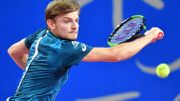 David Goffin David Goffin