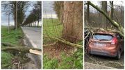 Toitures endommagées, arbres abattus... Région par région, les dégâts causés par la tempête Dennis en Belgique Toitures endommagées, arbres abattus... Région par région, les dégâts causés par la tempête Dennis en Belgique
