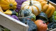 Le Potimarron, la courge 100 % zéro déchet ! Le Potimarron, la courge 100 % zéro déchet !