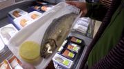 Comment bien acheter un poisson durable ? Comment bien acheter un poisson durable ?