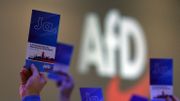 Une donation émanant de la Belgique versée au parti d'extrême droite allemand AfD Une donation émanant de la Belgique versée au parti d'extrême droite allemand AfD