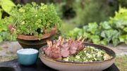 Recette "Fait Maison ! Barbecue": Côtelettes d’agneau – Sauce raïta Recette "Fait Maison ! Barbecue": Côtelettes d’agneau – Sauce raïta