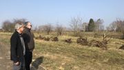A Roosdaal, en Brabant flamand, ce terrain d'un hectare et demi deviendra bientôt un verger expérimental A Roosdaal, en Brabant flamand, ce terrain d'un hectare et demi deviendra bientôt un verger expérimental