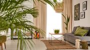 Prendre soin de ses plantes d'intérieur Prendre soin de ses plantes d'intérieur