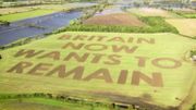 Un message géant contre le Brexit inscrit dans un champ par un agriculteur Un message géant contre le Brexit inscrit dans un champ par un agriculteur