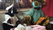 Un nounours infirmier et l'autre chirurgien s'occupent de l'hôpital des nounours Un nounours infirmier et l'autre chirurgien s'occupent de l'hôpital des nounours
