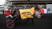 Le meilleur trotteur du monde, Bold Eagle, vedette du GP de Wallonie Le meilleur trotteur du monde, Bold Eagle, vedette du GP de Wallonie