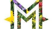 M et Pierre Lizée sont les sorties musicales de cette semaine M et Pierre Lizée sont les sorties musicales de cette semaine