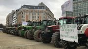 11 tracteurs garés au rond-point Schuman pour sensibiliser l'Europe aux difficultés de l'élevage 11 tracteurs garés au rond-point Schuman pour sensibiliser l'Europe aux difficultés de l'élevage