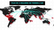 Gambas: si on vous vend du frais, ce n'est sans doute pas vrai Gambas: si on vous vend du frais, ce n'est sans doute pas vrai