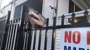 Une tête de requin empalée sur une façade en Australie Une tête de requin empalée sur une façade en Australie