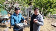 Au "meilleur restaurant du monde" Mauro Colagreco s'engage dans la biodynamie Au "meilleur restaurant du monde" Mauro Colagreco s'engage dans la biodynamie