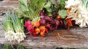 Profitez, vous aussi de dizaines de produits naturels, d’herbes et de légumes rares. Profitez, vous aussi de dizaines de produits naturels, d’herbes et de légumes rares.