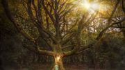 La forêt de Brocéliande existe et vous pouvez la visiter pour découvrir ces mythes et mystères La forêt de Brocéliande existe et vous pouvez la visiter pour découvrir ces mythes et mystères