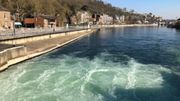 La Meuse transparente à certains endroits : les cours d'eau gagnent-ils actuellement en clarté ? La Meuse transparente à certains endroits : les cours d'eau gagnent-ils actuellement en clarté ?