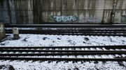 300 voyageurs bloqués trois heures dans un train à cause du givre 300 voyageurs bloqués trois heures dans un train à cause du givre