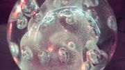 DARKSIDE "Psychic" DARKSIDE "Psychic"