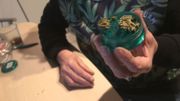 Rien ne permet de reconnaître si c'est du cannabis illégal ou du cannabis médical. Rien ne permet de reconnaître si c'est du cannabis illégal ou du cannabis médical.